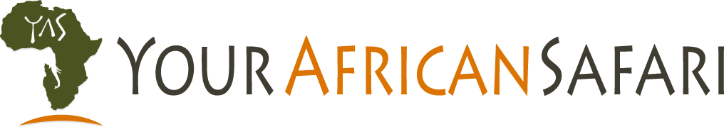 yourafrican-logo_color